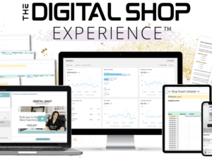 Monica Froese – The Digital Shop Experience Download