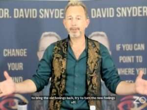 David Snyder – S.T.E.A.L.T.H Hidden Laws of Attraction Download